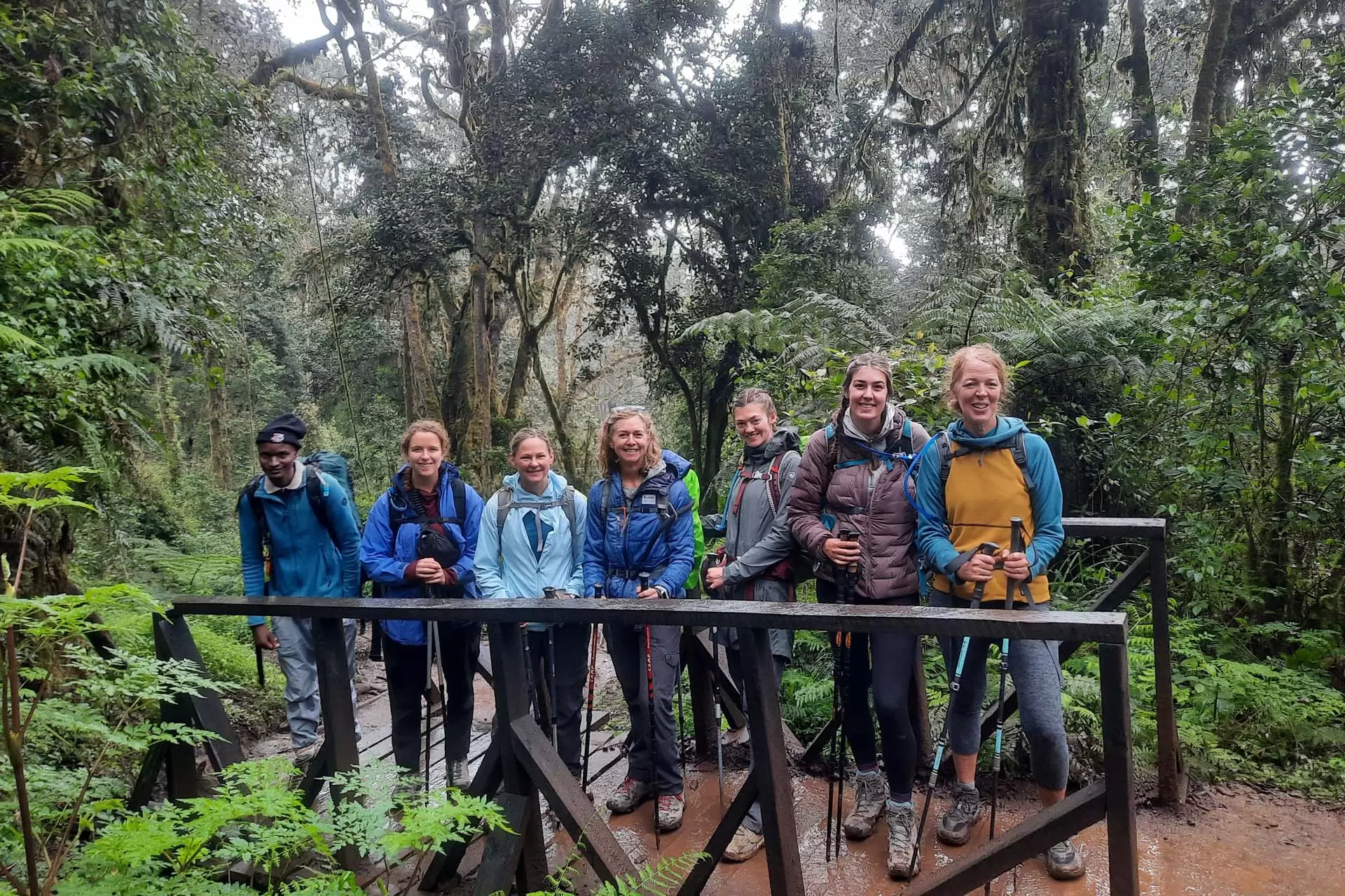 marangu-day-hike-tour